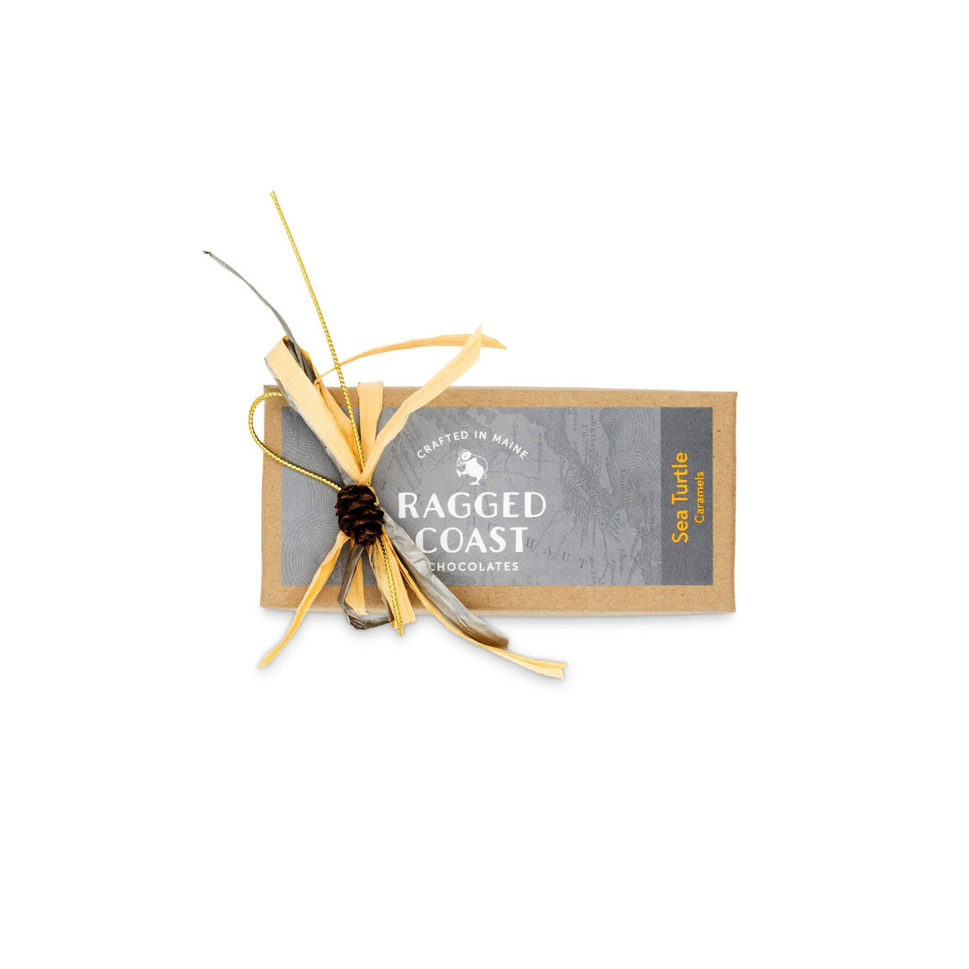 A rectangular box marked with "Sea Turtle Caramels" by Ragged Coast Chocolates is elegantly decorated with a ribbon and a small pinecone, presenting luxurious dark chocolate sea salt caramels crafted from direct-trade Ecuadorian dark chocolate.